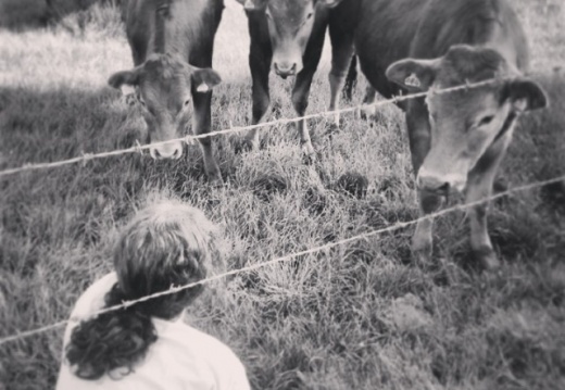 0b88370ddfa3288a559fe0aecf4f9724