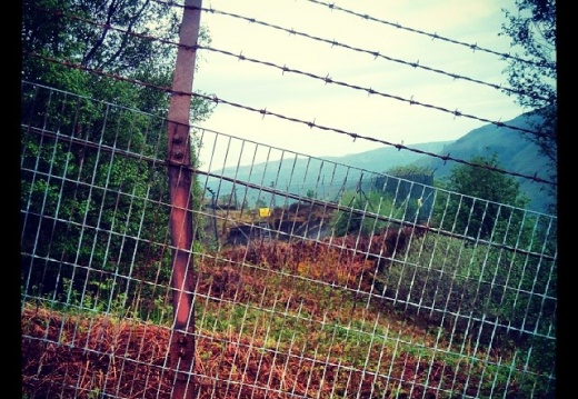 1e7e4e5e70f6e4bf6f9dcae2653a4bf7