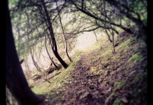 4a9408411f66f8d576a573d55aef42c2