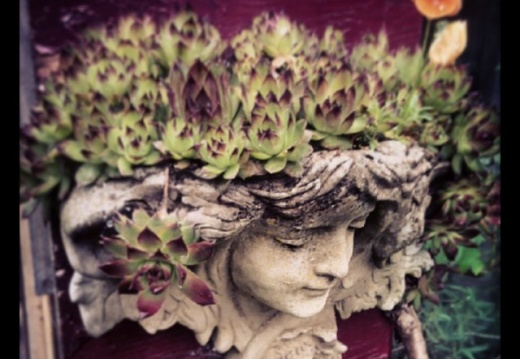 4ed93acbb3cc9cf9cba418940c5d2350