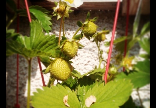 6ad1422d7fc3d10e3ca89121983b54b4