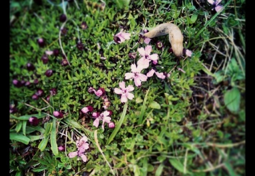 6cad5349c966572adcee921998d536af