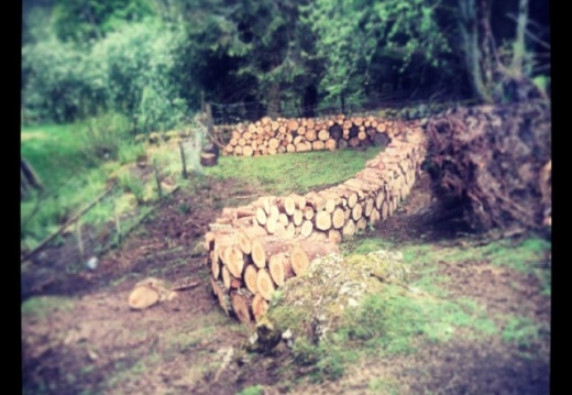 6d58aa6ccc5b61d09845ca332406a2e4