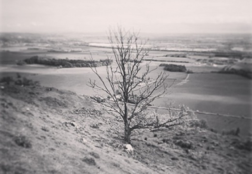 7ccc7a8cd06cbf3610e2de0640aed498