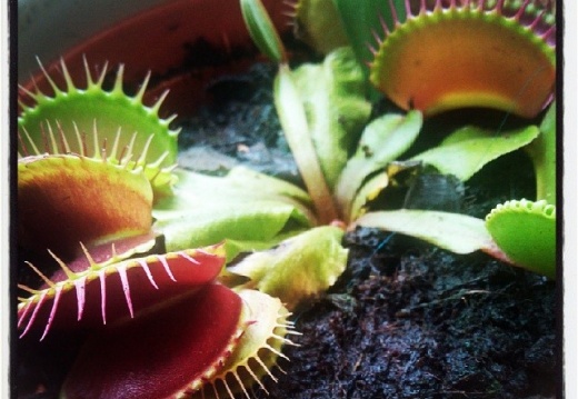 8ec1b56ec866ef4bb3efd5c1157e2459