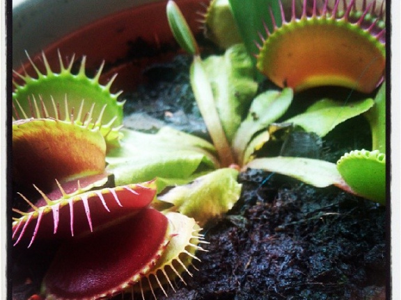 8ec1b56ec866ef4bb3efd5c1157e2459