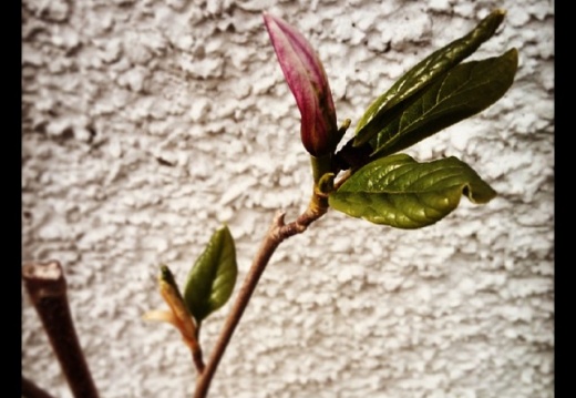 9f814f3f08078d502873993beaa2ffc9