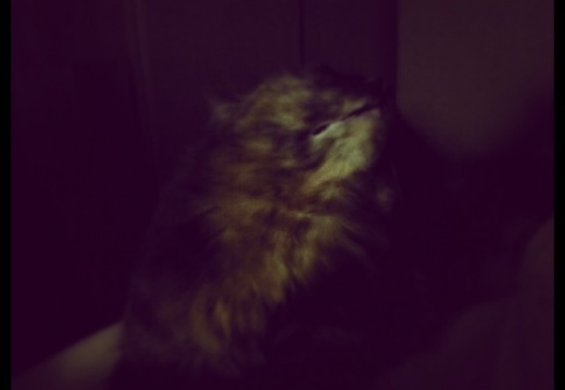 25e605464634a9ee7a7bc26589a080c9