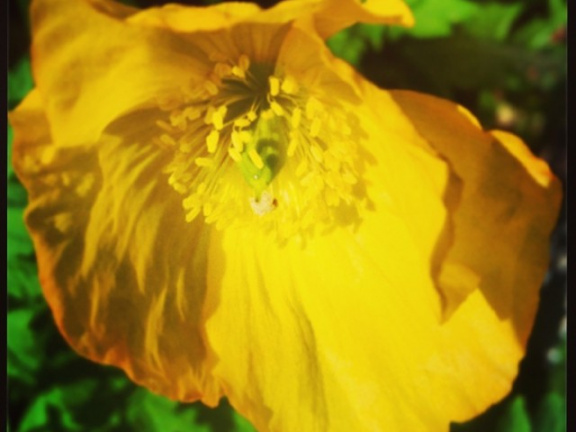 27d89a7fb3ed70c6d9035ea8dfdaeba5