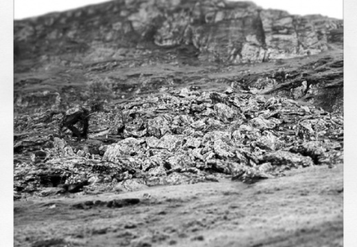 58af02a01be4474f42ee093394c80391