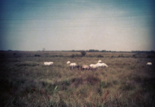 4ca6aab68d815668db77fac5d78a6a7d