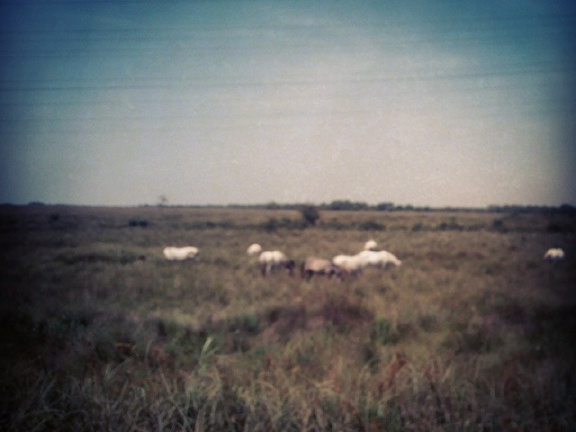 4ca6aab68d815668db77fac5d78a6a7d