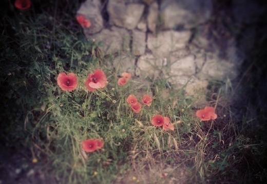 4f9de3ca1728d8efe448521806e8aed9