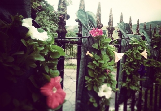 68d73b1e74b54cda75ee2d79066293a2