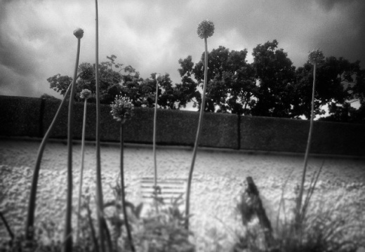 8485c1f5a58420d7291785ff93abb9b2