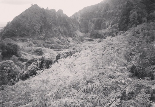 05f03f1c2dc093195d21a439bb0a1384