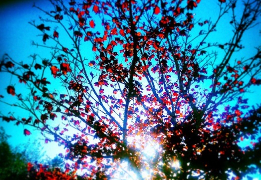 3268f9796321a79f7e0584055e20e119