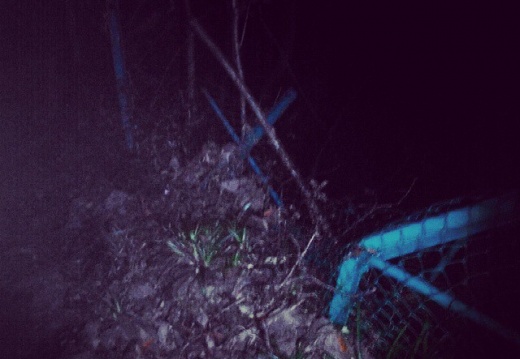 6375d23756648702f21ed3c9f5f2bc87