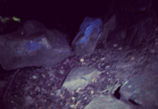 54231bcc4f93342edcc18152a99edf52