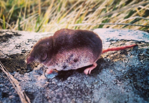 5174918cb17a83b9a953eb7b4a0d1786