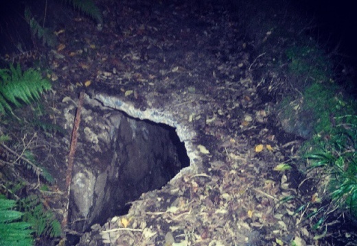 abb2548072901597a7f9cc45a3cb7926