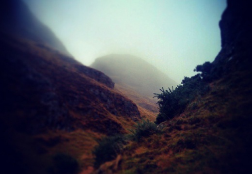 c530f3b483c3946d457cd6b68544028c