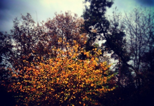 c1726a4b56cffcad58a0912ed911e4da