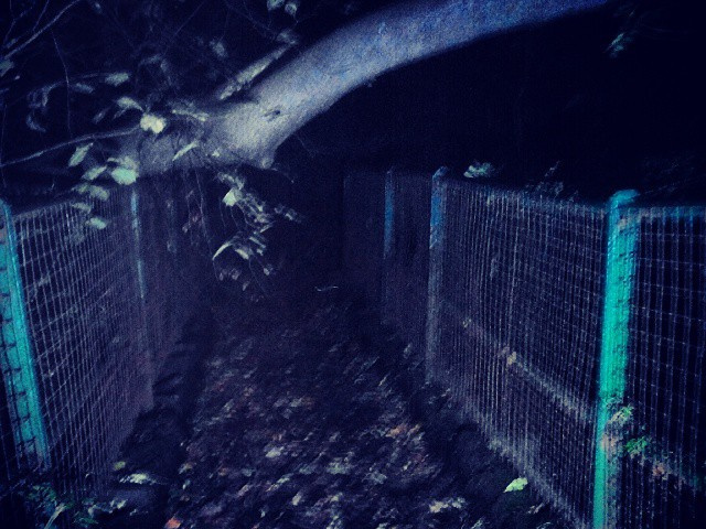 cd47b198c0d9e301868a4f33b6cd499f