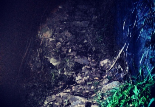 ed206609123317b088a9597309740c78