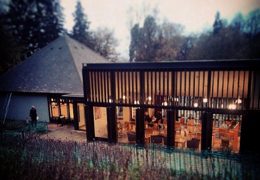 f1da2654f3137ae7ed85d22ccc0bf9e6