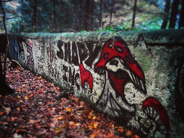 3b7d544a76e356d658ec3f2acff04844