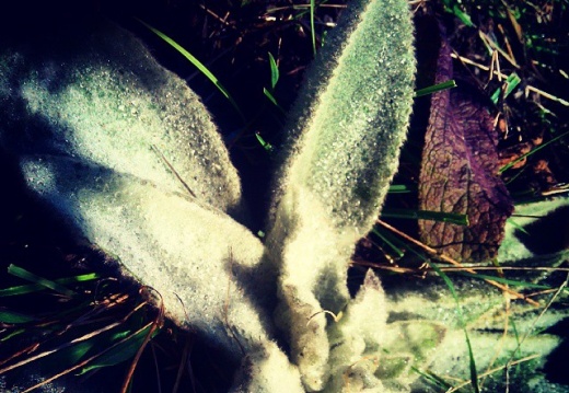 8d0aa8d9b899c36498dc049950315b33