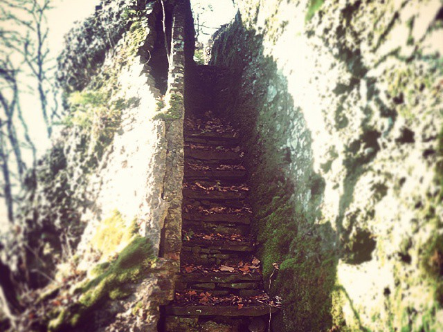 8d57baea1f6d9ef9c2c05669d6af111b