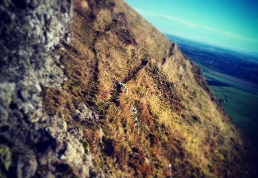 99eb23b4ec7a7466aefb1a5f04665871