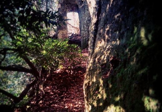 161f70e32f4def2f120d6e99ed7c900a