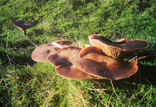 846b49a716791e06d4f927eeeeb1e6c3