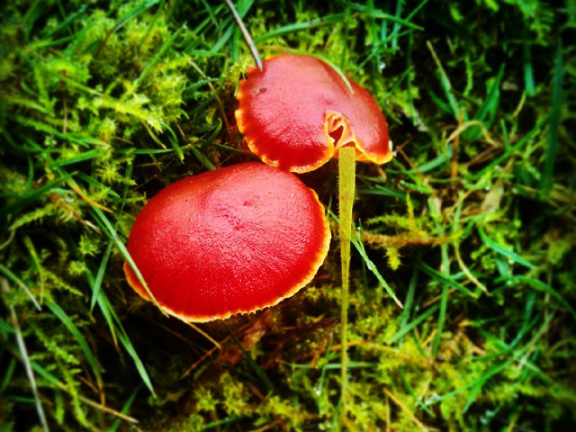 948f2f1bf05400306ab3108a0c90a96e