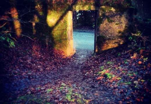 3740a7707ab1700cd6782b95006156df