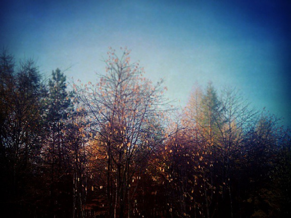 6919abf9e07cc4e83bd8e075a88ddc13