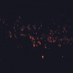 29882b95855cc2ce7e340e6c34b0977f