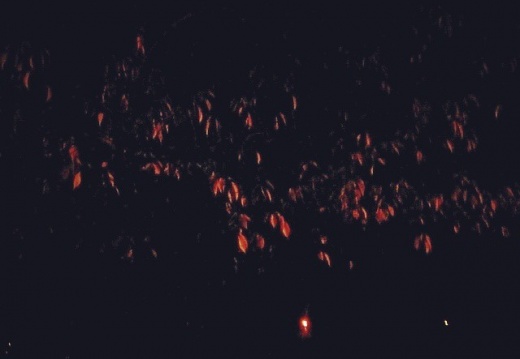 29882b95855cc2ce7e340e6c34b0977f