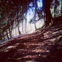 40821a6edabb376284a22cc34097c333