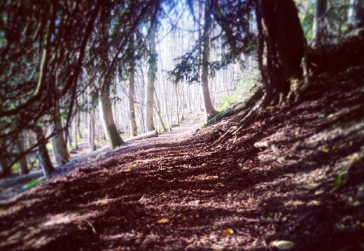 40821a6edabb376284a22cc34097c333