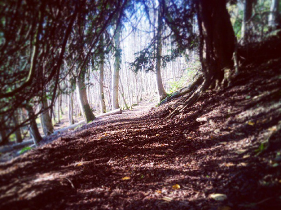 40821a6edabb376284a22cc34097c333