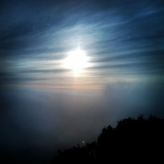 729244c0bfc1c12caf2c57b3023150a1