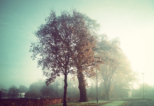 aa83a3d91b460a75a067a83c0b9eac77