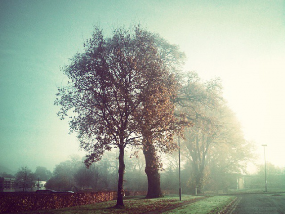 aa83a3d91b460a75a067a83c0b9eac77