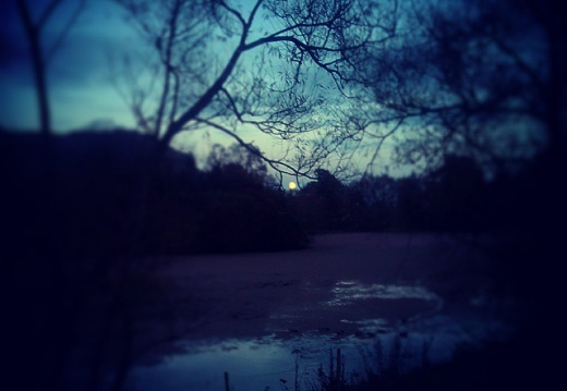 c6d86d2da6ea8edf0c6912e753b65de4