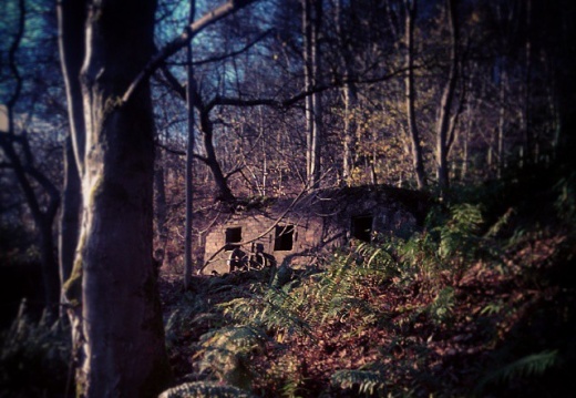 ca86caad8546cee536e63afe31810d53