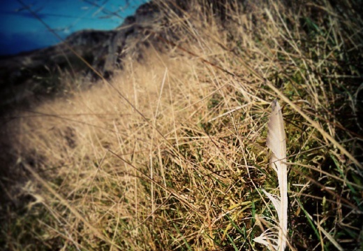 d2cf7e16f36f5f54232a80d89cab1f06